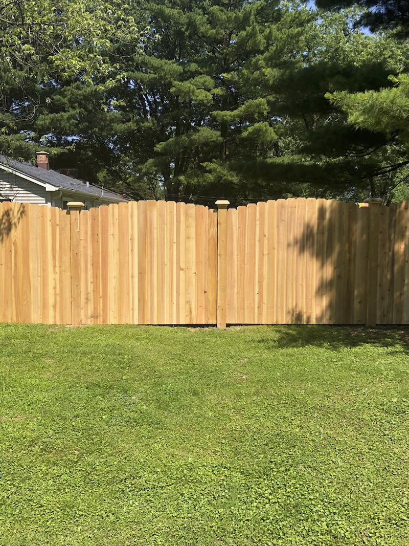 Privacy-Cedar-Fence-Images-4